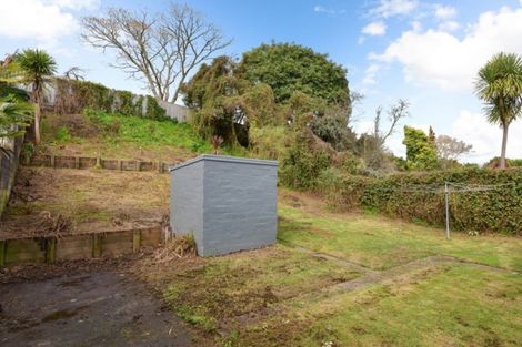 Photo of property in 20 Galway Avenue, Hamilton East, Hamilton, 3216