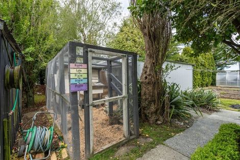 Photo of property in 132 Frank Street, Gore, 9710