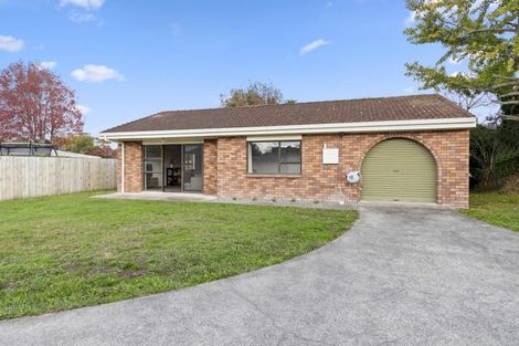 Photo of property in 45a Haultain Street, Fairfield, Hamilton, 3214
