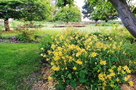 Photo of property in 40 Cashel Street, Waimate, 7924