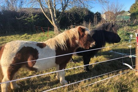 Photo of property in 104 Mill Road, Waimate, 7978