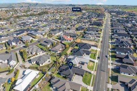 Photo of property in 41 Fairway Drive, Morrinsville, 3300