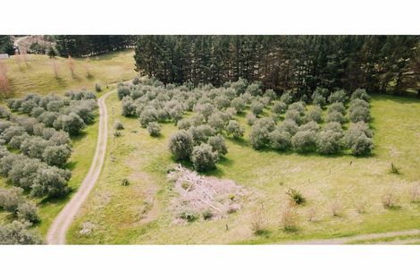 Photo of property in 4560 Pouto Road, Pouto, Te Kopuru, 0391