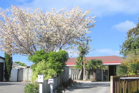 Photo of property in 9 Bedford Place, Mount Maunganui, 3116