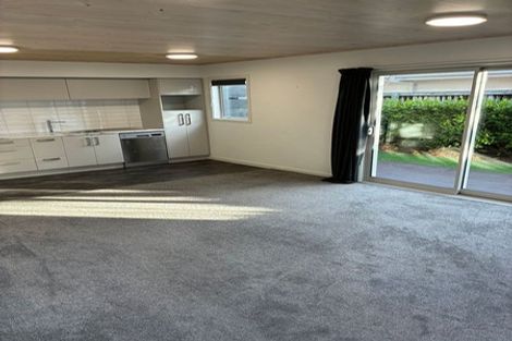 Photo of property in 7 Ettrick Lane, Richmond, Christchurch, 8013