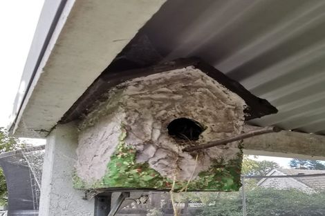 Photo of property in 62a Norrie Street, Bader, Hamilton, 3206