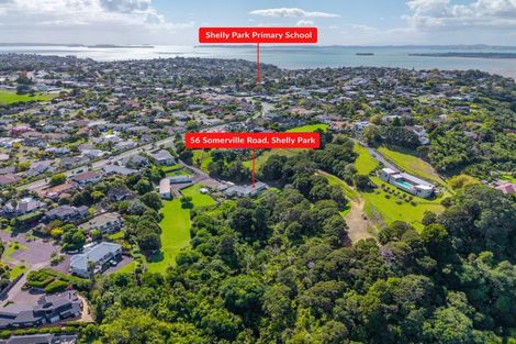 Photo of property in 56 Somerville Road, Shelly Park, Auckland, 2014