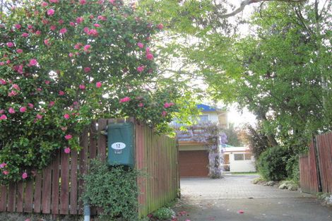 Photo of property in 12 Main North Road, Woodend, 7610