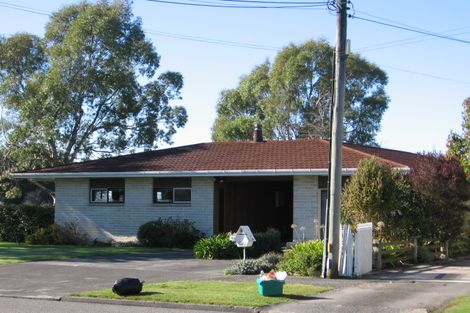 Photo of property in 42 Oak Street, Masterton, 5810