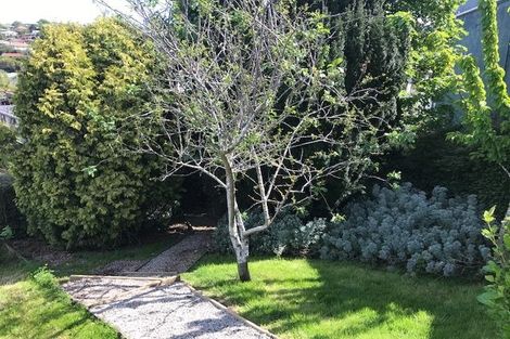 Photo of property in 6 Haig Street, Mornington, Dunedin, 9011