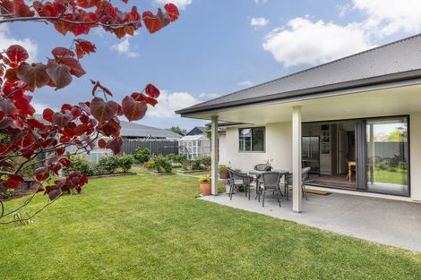 Photo of property in 3 Percy Berry Place, Havelock North, 4130