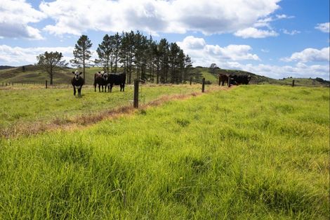Photo of property in 264 Okokako Road, Waimate North, Kerikeri, 0293