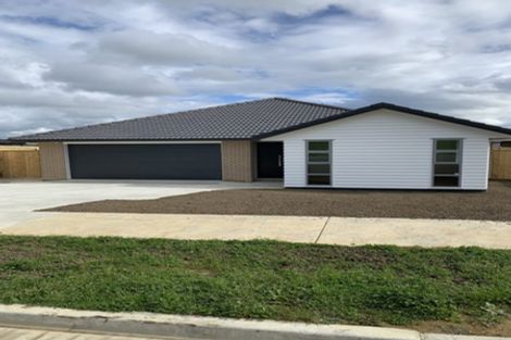 Photo of property in 56 Helenvale Crescent, Pokeno, 2402