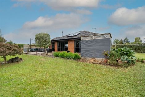 Photo of property in 107 Marychurch Road, Pukemoremore, Cambridge, 3493