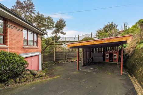 Photo of property in 51 Sidey Street, Calton Hill, Dunedin, 9012