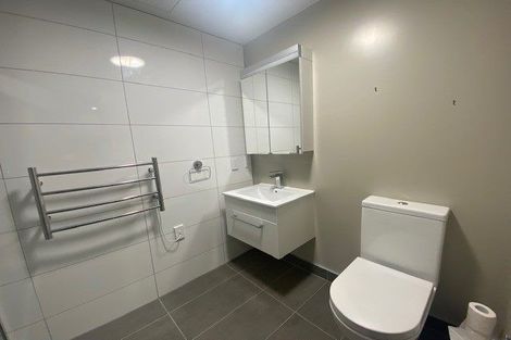 Photo of property in Canvas Apartments, 12/307 Willis Street, Te Aro, Wellington, 6011