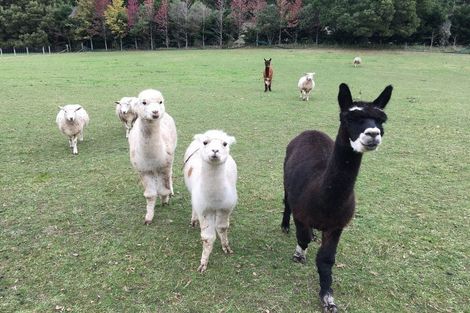 Photo of property in 69 Lee Valley Road, Wairoa Valley, Brightwater, 7091