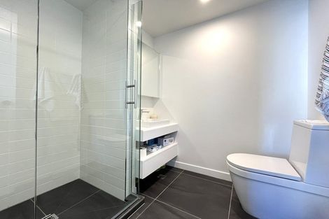 Photo of property in Pinnacle Apartments, W605/160 Victoria Street, Te Aro, Wellington, 6011