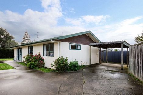 Photo of property in 3 Julian Street, Redwoodtown, Blenheim, 7201