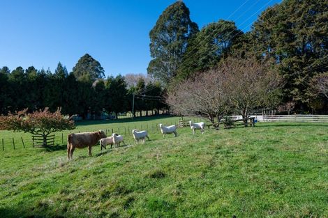 Photo of property in 780 State Highway 30, Horohoro, Rotorua, 3077