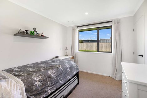 Photo of property in 201b Tiro Tiro Road, Levin, 5510