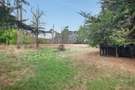 Photo of property in 261 Oxford Road, Fernside, Rangiora, 7471