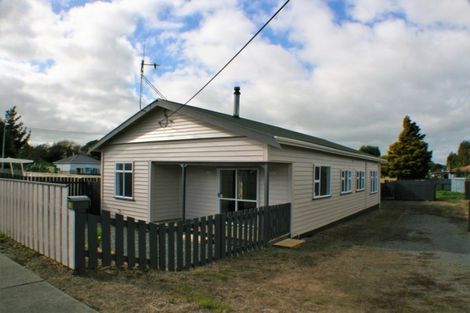 Photo of property in 55 Johnston Street, Foxton, 4814