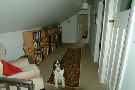 Photo of property in 19 Glen Road, Kelburn, Wellington, 6012