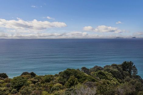 Photo of property in 123 Pumpkin Hill Road, Pumpkin Hill, Whitianga, 3591