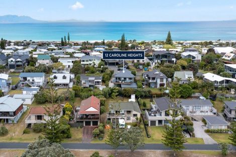 Photo of property in 12 Caroline Heights, Omaha, Warkworth, 0986