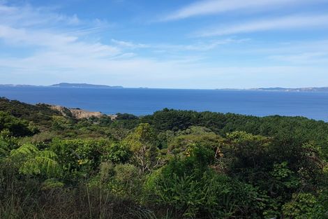 Photo of property in 492 Tuateawa Road, Tuateawa, Coromandel, 3583