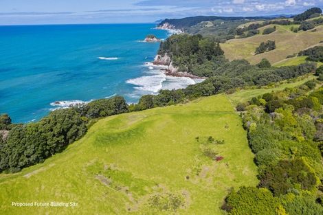 Photo of property in 339 Onemana Drive, Onemana, Whangamata, 3691