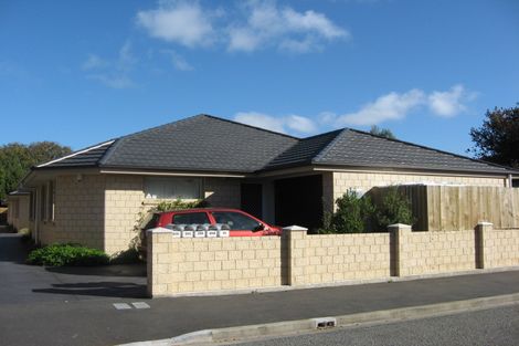 Photo of property in 20a Walpole Street, Waltham, Christchurch, 8023