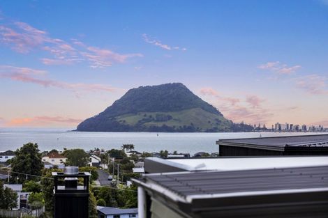 Photo of property in 37c Milton Road, Otumoetai, Tauranga, 3110