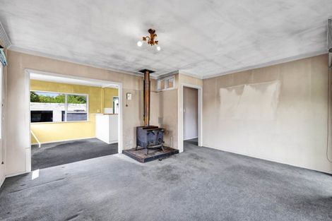 Photo of property in 6 Elsinore Street, Stratford, 4332