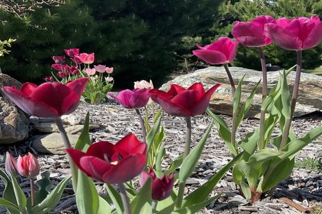 Photo of property in 129 Bannockburn Road, Cromwell, 9384