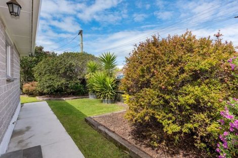 Photo of property in 1 Litchfield Street, Redwoodtown, Blenheim, 7201