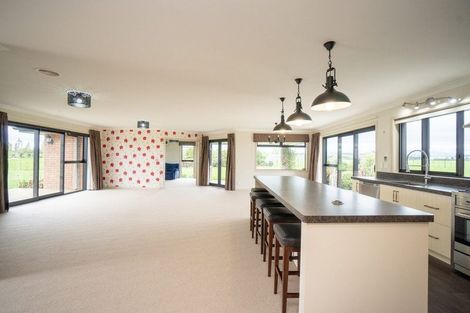 Photo of property in 566 Taonui Road, Colyton, Feilding, 4775