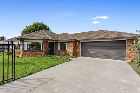 Photo of property in 38 Lemon Street, Otaki, 5512