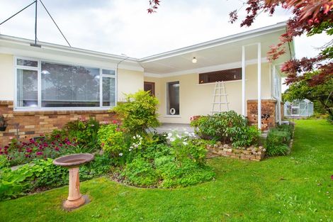 Photo of property in 37 Haultain Street, Fairfield, Hamilton, 3214