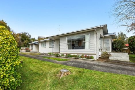Photo of property in 12 Thomson Avenue, Dinsdale, Hamilton, 3204