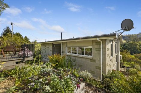 Photo of property in 487 Kaikorai Valley Road, Bradford, Dunedin, 9011