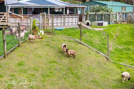 Photo of property in 736 Whakapirau Road, Whakapirau, Maungaturoto, 0583