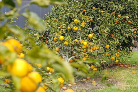 Photo of property in 34 Shepherd Road, Kerikeri, 0230