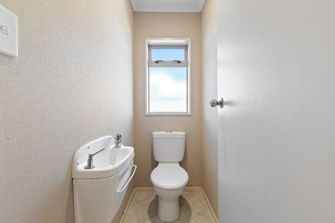 Photo of property in 9 Fend Street, Chartwell, Hamilton, 3210