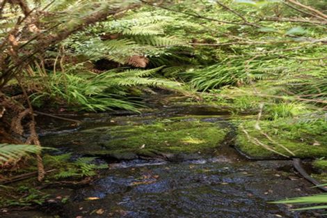Photo of property in 60 Victoria Street, Waikino, Waihi, 3682