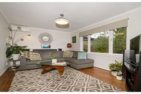 Photo of property in 62 Tudor Road, Henderson, Auckland, 0610
