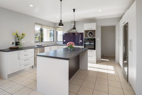 Photo of property in 14 Vorbach Place, Renwick, 7204