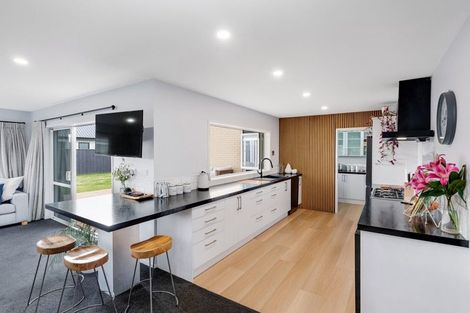 Photo of property in 16 Chimera Street, Pegasus, 7612