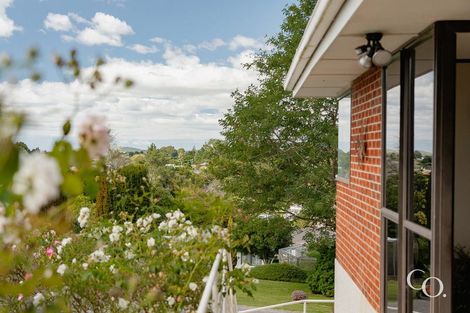 Photo of property in 47 Bell Street, Judea, Tauranga, 3110